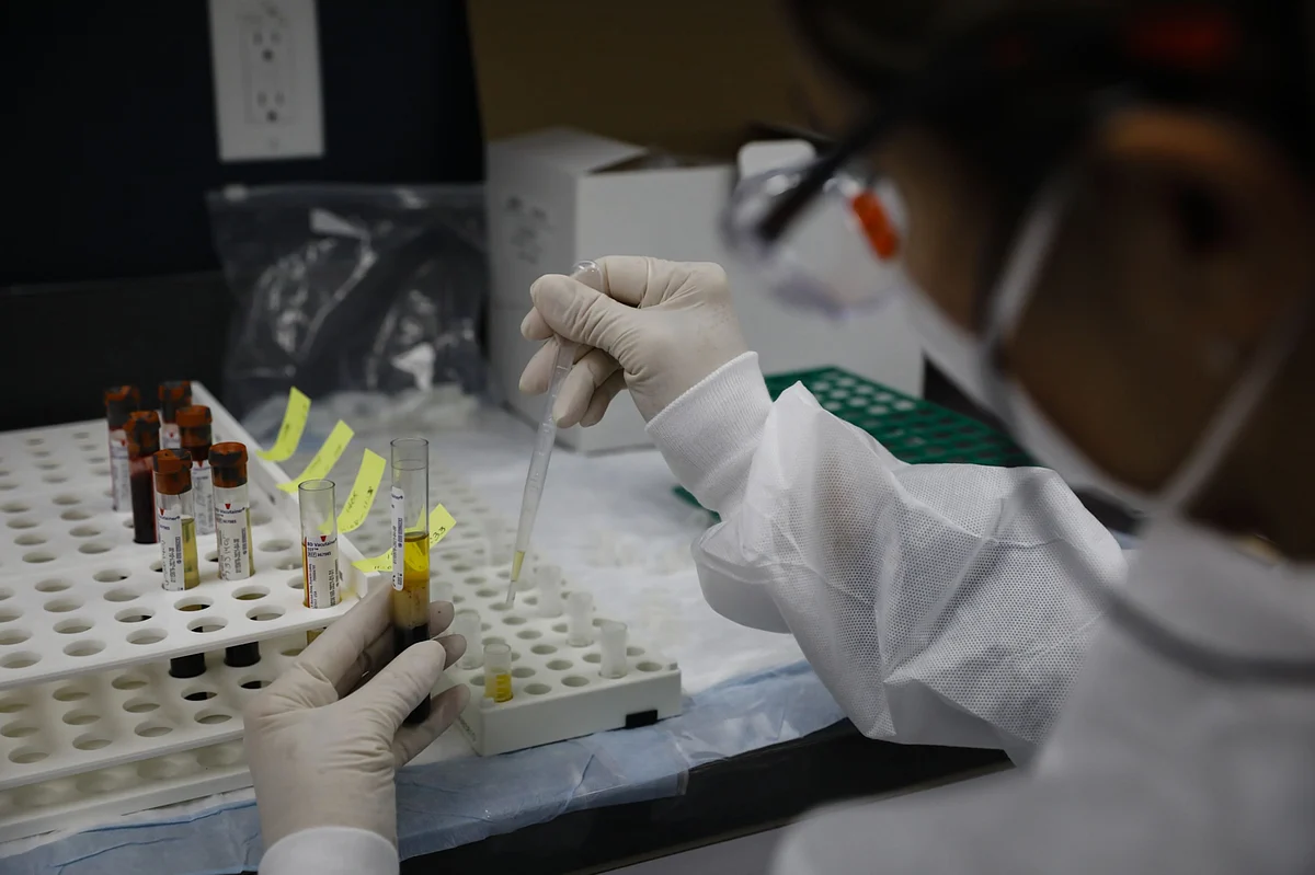 Rossari Biotech - Unitop Chemicals, Tristar Intermediate Acquisitions To Add 48% To Ebitda: ICICI Securities 1 Rossari Biotech - Unitop Chemicals, Tristar Intermediate Acquisitions To Add 48% To Ebitda: ICICI Securities