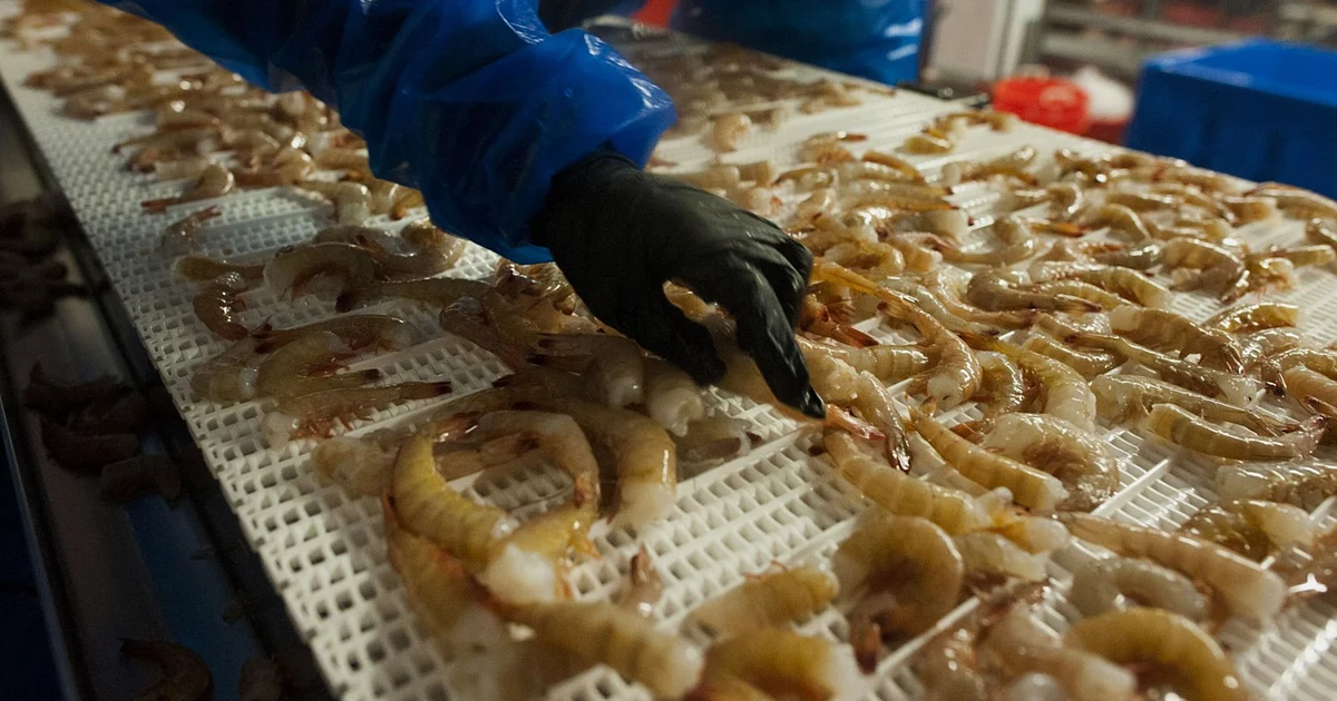 Apex Frozen Foods - Reopening Of Markets Provides A Positive Sign: Geojit 1 Apex Frozen Foods - Reopening Of Markets Provides A Positive Sign: Geojit