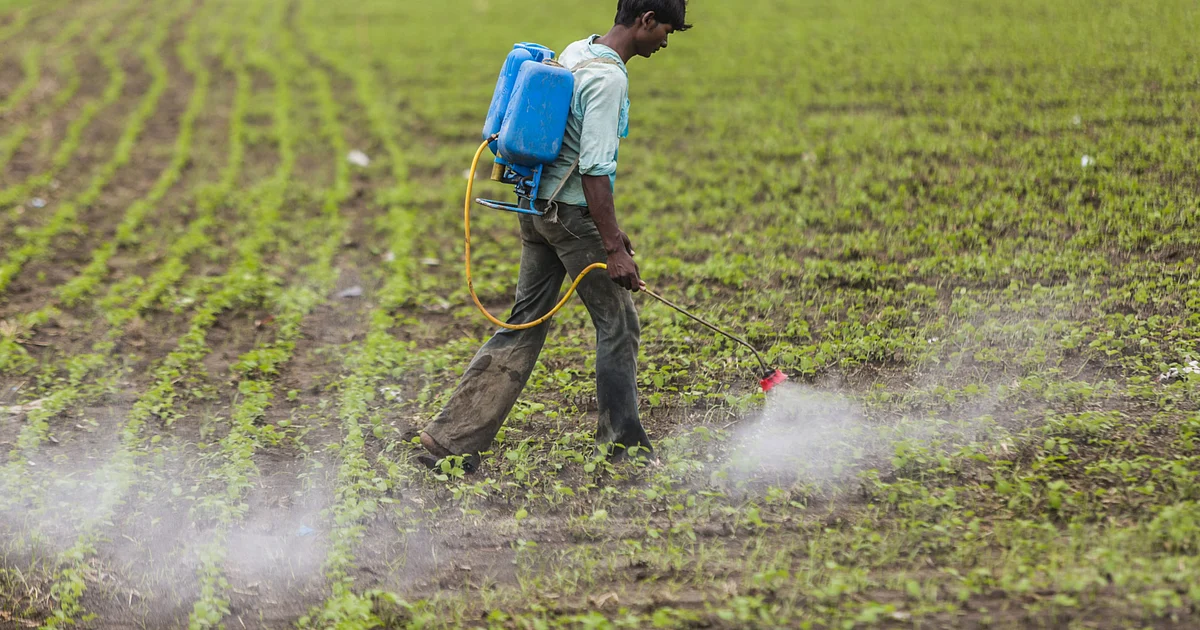 Agro Chemicals Q1 Earnings Preview - Sector Valuations Price In A Good Season: Prabhudas Lilladher 1 Agro Chemicals Q1 Earnings Preview - Sector Valuations Price In A Good Season: Prabhudas Lilladher