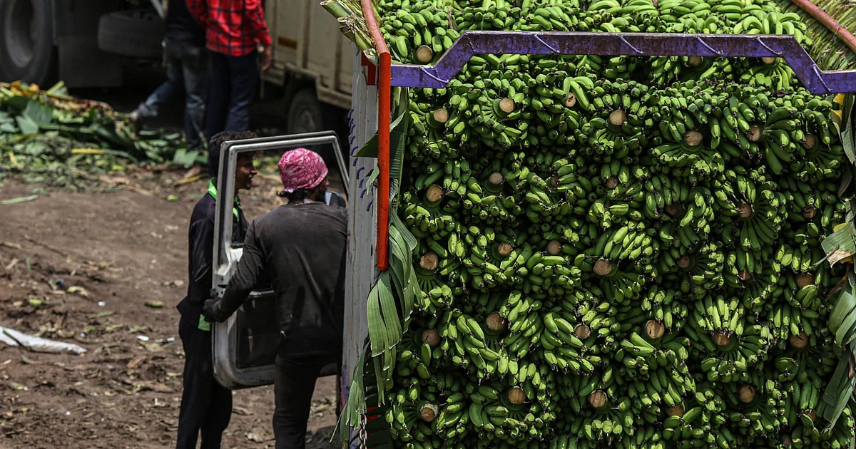 India Economy Watch - Economic Activity Grew In Double-Digits In June: Motilal Oswal 1 India Economy Watch - Economic Activity Grew In Double-Digits In June: Motilal Oswal