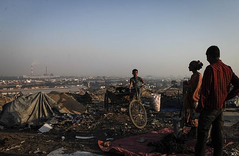 आंतों से शरीर के दूसरे अंगों तक राह बना रहा माइक्रोप्लास्टिक, वैज्ञानिकों ने किया खुलासा