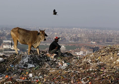 बढ़ता प्लास्टिक प्रदूषण पर्यावरण के साथ जैवविविधता के लिए बन रहा खतरा