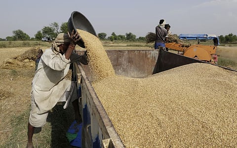 मध्य प्रदेश में काफी महंगा बिक रहा है गेहूं, किसानों ने रोका स्टॉक