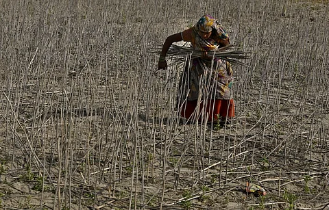 पूरे परिवार को तोड़ देती है आत्महत्या, महिला किसानों को गुजारनी पड़ती है विपदा की जिदंगी