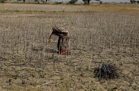 नई सरकार का पर्यावरण चार्टर