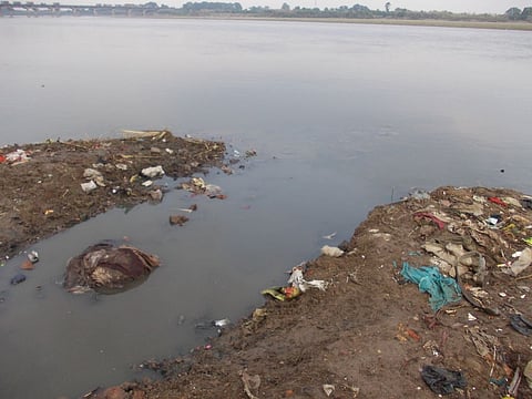 गंगा को दूषित कर रहा है हावड़ा रेलवे स्टेशन के पास होटलों से निकला कचरा, एनजीटी ने मांगा जवाब