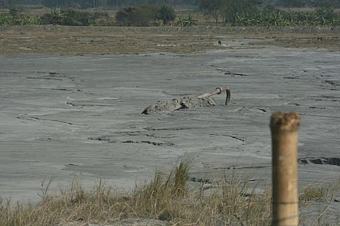 Are NGT orders enough to ensure full ash utilisation by power plants?