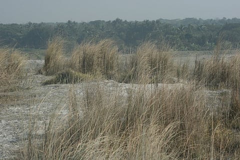 जानिए क्यों फ्लाई ऐश के निपटान और उसके संभावित प्रभाव के सम्बन्ध में एनजीटी ने रिपोर्ट पर जताया असंतोष