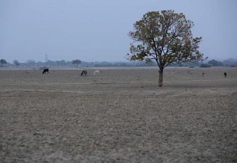 The apex court made it clear that this ostrich-like attitude was a pity, particularly since the people affected by a possible drought-like situation or drought usually belong to the most vulnerable sections of the society
Credit: Vikas Choudhary