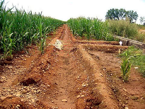 India's irrigation potential is of 139 million hectares