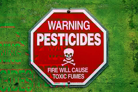 Pesticides are the main sources of EDCs Credit: Flickr