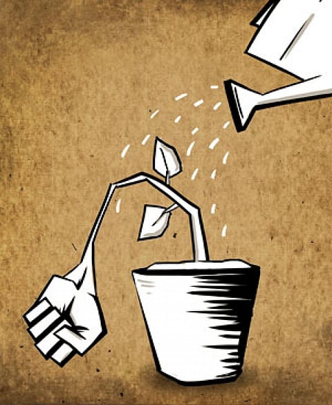 Illustration: Tarique Aziz