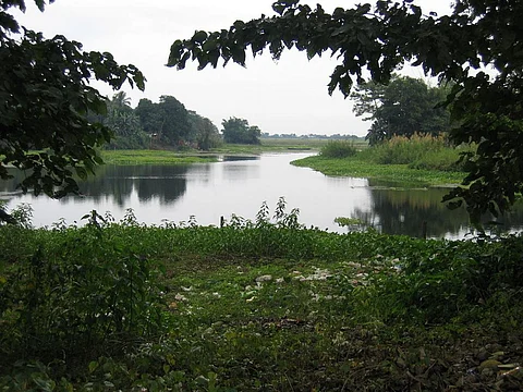 Majuli has suffered extensive erosion since the 1960s (Photo credit: Peter Andersen, CC BY 2.5, via Wikipedia)