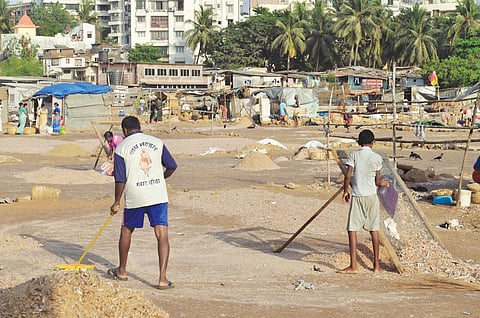 Khar Danda will be one of the worst affected
fishing villages. Reclamation and mangrove
removal will also destroy fish breeding sites (COURTESY: BOMBAYVA)