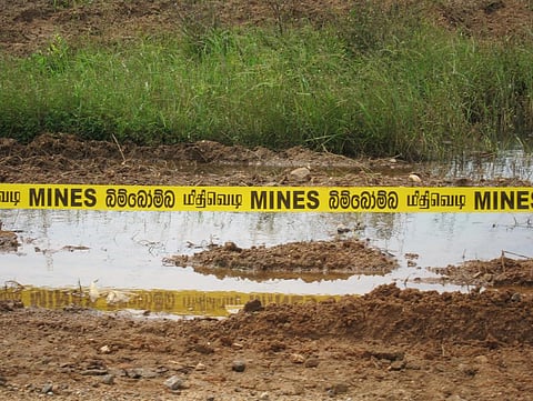 Mining firms have more incentive than ever to comb through their trash in search of treasure Credit: Indi Samarajiva/ Flicker