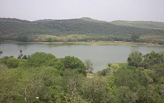 Forests produce timber and non-timber products, conserve soil, recharge groundwater, purify air, provide habitat for biodiversity and benefit local communities (Credit: Deepanwita Niyogi)