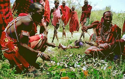 Family smallholders, local communities and indigenous people have a key role to play in preserving these carbon stocks by reducing deforestation
Credit: Cea +/Flickr