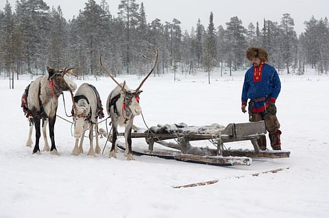 After the death of 2,300 reindeers due to the outbreak, the area has been evacuated (Credit: iStock Images)