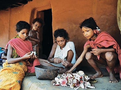 Many varieties of wild edible mushrooms found in Odisha, like amba chhatu and bali chhatu, have become rare because of erratic rainfall (Photo: Sayantan Bera)