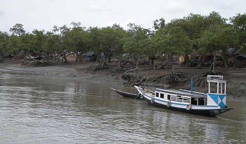 The Sundarbans may be politically divided between two countries, but in terms of landscape it is just one single unique forest area in the world (Photo: Deepanwita Niyogi)