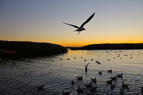 According to the Asia-Pacific Water Forum, more than 90 per cent of the people in Asia and the Pacific are without water security
Credit: james j8246/Flickr