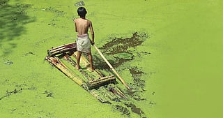 In Assam, heavy rains in the fourth week of April caused the first wave of floods that continued till August, leading to algal growth in the flood water at several places (Photo: Parikhit Saikia)