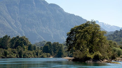 The scenic Rio Puelo or Puelo river in Chile, one of the five rivers over which Endesa was to build hydroelectric dams  Credit: Flickr