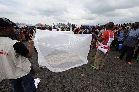 Since the beginning of this year, almost 1,000 people in both DRC and Angola have had confirmed yellow fever
Credit: Julien Harneis/Flickr