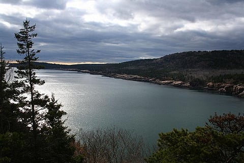 There are 202,467 protected areas today, covering almost 20 million square kilometres or 14.7 per cent of the world’s land, excluding Antarctica
Credit: rachaelvoorhees/Flickr