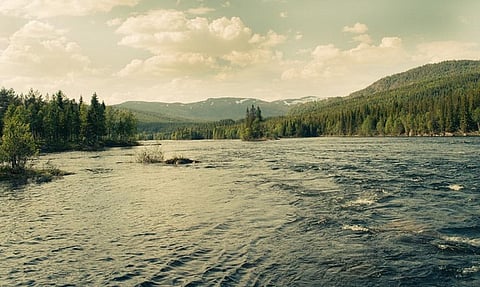 According to researchers, since the early 1990s one-tenth (3.3 million km2 or approximately 9.6 per cent) of global wilderness areas have been lost
Credit: Alexander Cahlenstein/Flickr