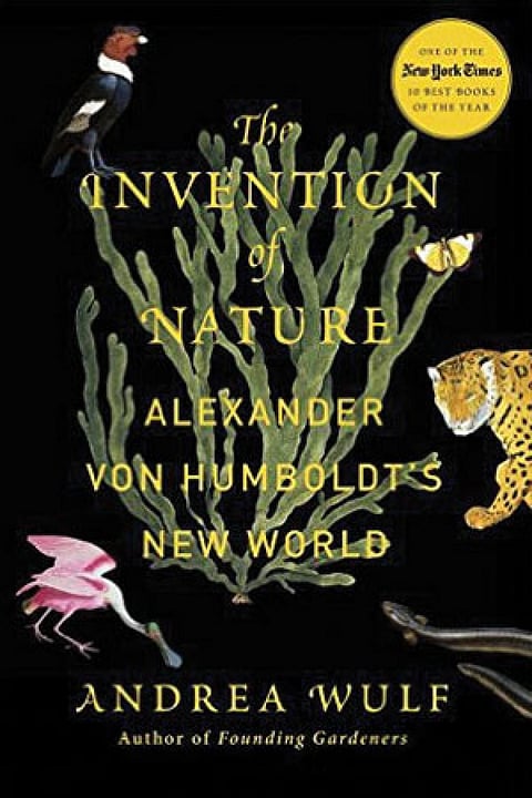 The `feeling' in nature
