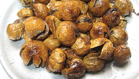 Turkey berry is traditionally used to break a fast. Its digestive ingredients help calm empty stomachs and reduce acidity (Photo: Chitra Balasubramaniam)