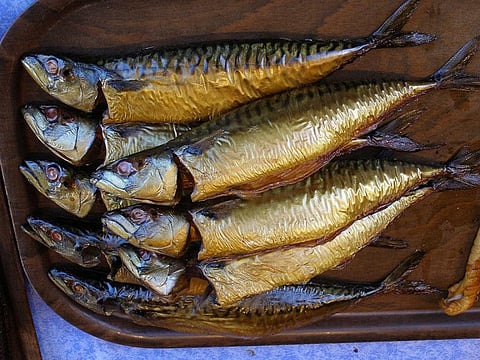 The FAO is collaborating with Google to develop new platforms and research methodologies to support countries in improving their monitoring, control and surveillance of fishing activities
Credit: Erich Ferdinand/Flickr