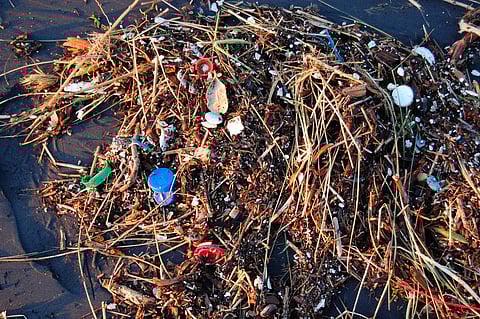 Large plastic waste can break down to micro plastics that can be eaten by fish, before entering the food chain. Credit: Kevin Krejci / Flicker