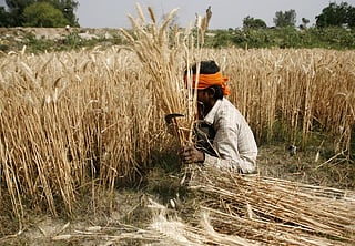 There are around 475 million low-income, small-holder farmers whose access to technologies, markets and credit is limited. They will need timely access to technologies, markets, information and credit for investment to adjust production systems and practices to climate change
Credit: Vikas Choudhary
