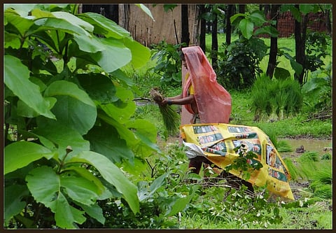 Women in the community somehow manage to enter forests for wood, but that is not sufficient for livelihood. Credit: Indianature11/ Flicker