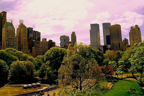 Planting trees is beneficial as tree leaves filter out particulate matter from the atmosphere, along with other pollutants
Credit: Suelen Miranda/Flickr