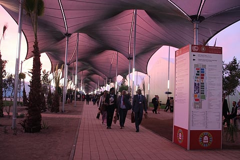 According to Chandra Bhushan, the Warsaw International Mechanism (WIM) was the right platform for creation of globally supported agricultural insurance mechanism. Credit: Takver/ Flicker