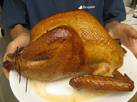 The average turkey now weighs in at more than 10 kg, a much bigger animal than its wild ancestor. Credit: Eugene Kim / Flicker