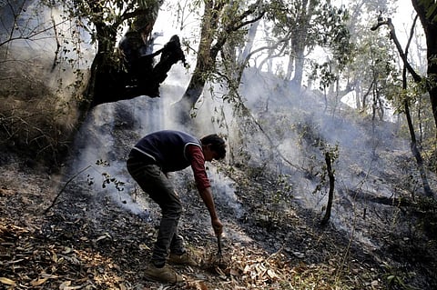 Locals make attempts to extinguish forest fire in Uttarakhand (May 2016) (Credit: Vikas Choudhary/CSE)
