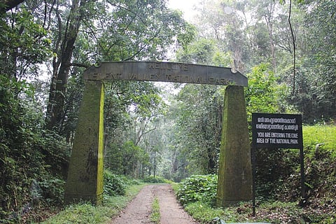 After driving through the buffer zone, one arrives at the gate to the core area. Beyond this lies a forest with an evolutionary age of at least 50 million years  (Photo: Jemima Rohekar)
