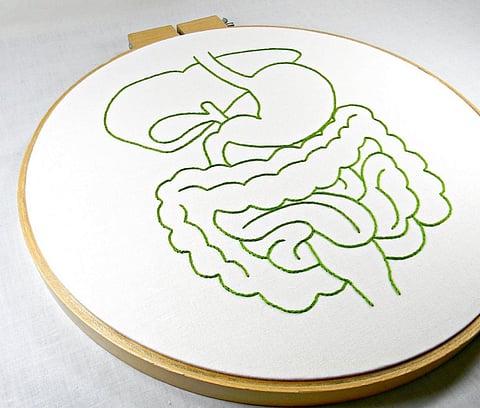 Discovery of mesentery might give further insight into abdominal disorders and diseases that could lead to newer treatments. Credit: Hey Paul Studios