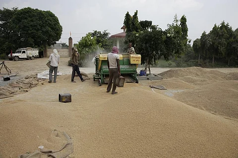 गेहूं के निर्यात पर सरकार ने लगाई रोक