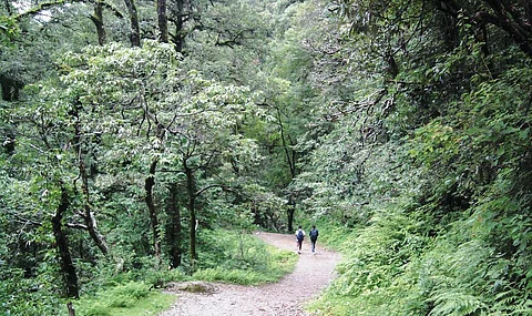 जो यात्राएं शौक के लिए की जाती हैं, क्या उन्हें तेज रफ्तार से मशीनीकरण के बिना नहीं तय किया जा सकता?