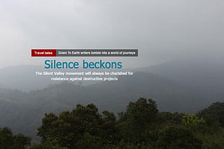 Sounds of silence: a forest that survived 'development'