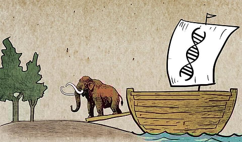 Illustration: Tarique Aziz