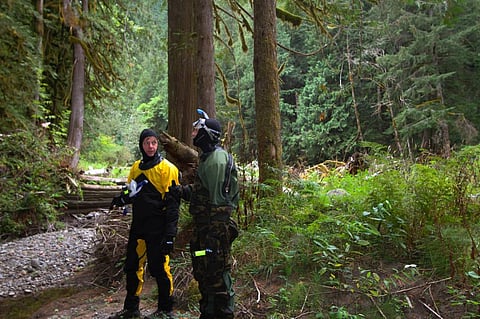 Fisheries and forestry are highly susceptible to collapse. Credit: Bureau of Land Management Oregon & Washington/ Flicker