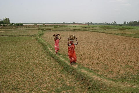 A model law on contract farming is expected to help farmers by virtue of better price realisation and reduction of post-harvest losses