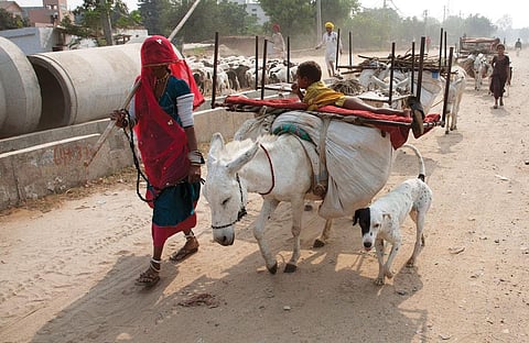 फोटो: अग्निमिर्ह बासु