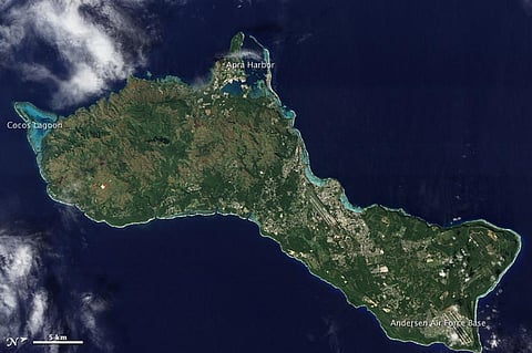 Rresearchers also found severe contamination in amphipods collected in the Kermadec trench, which is 7,000km from Mariana trench Credit: NASA / Flicker